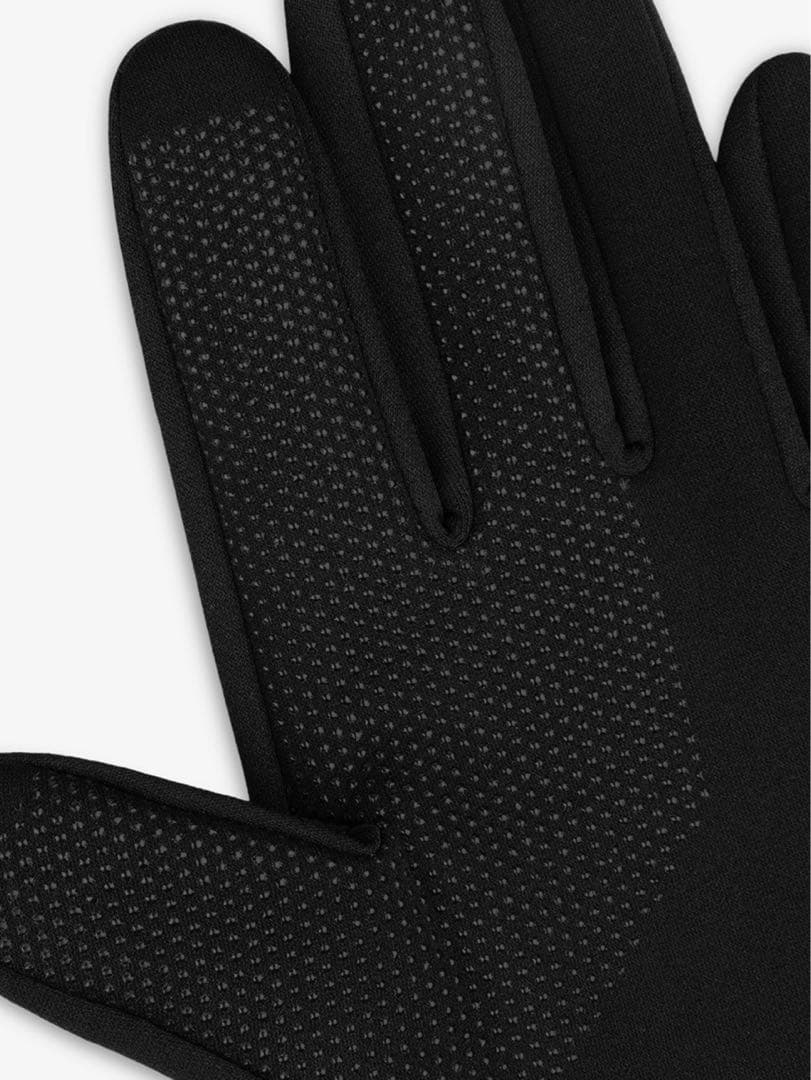 THE NORTH FACE × Aimé Leon Dore 手袋 【XL】