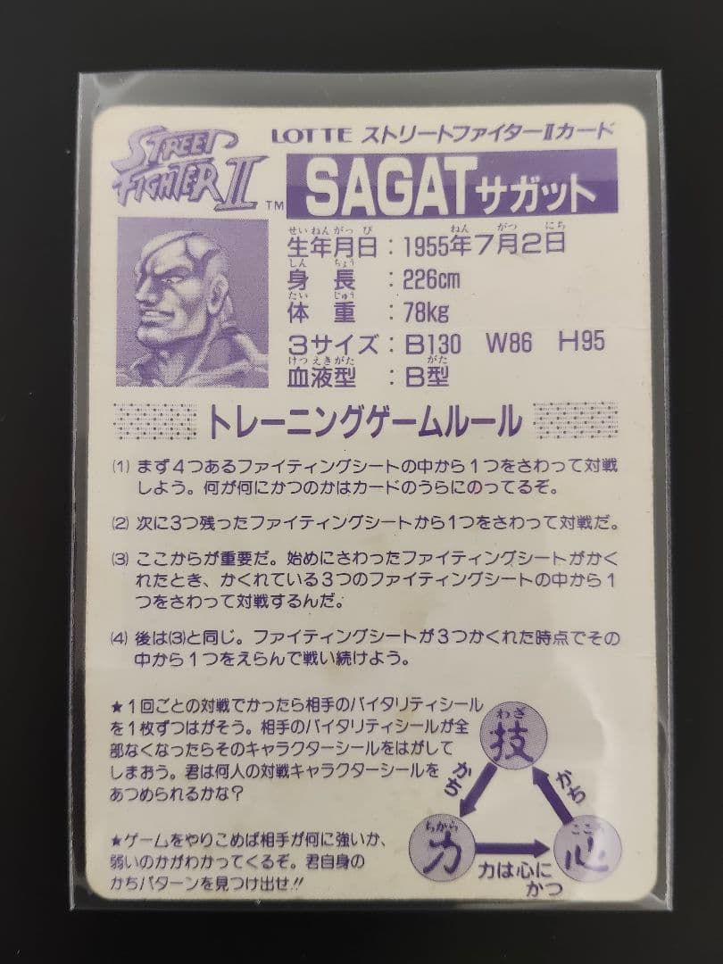 期間限定！ 超希少 全12キャラGOLD ver. ストリートファイター カード