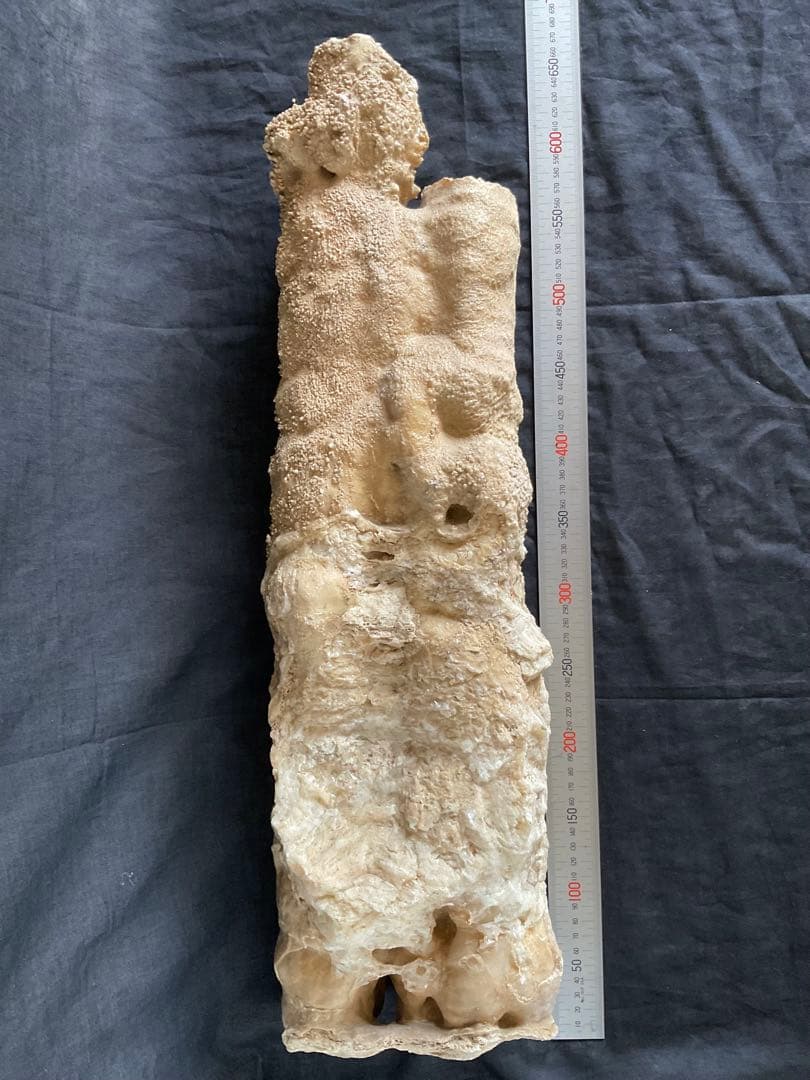 鍾乳石(石柱)６５cm１６.２kg