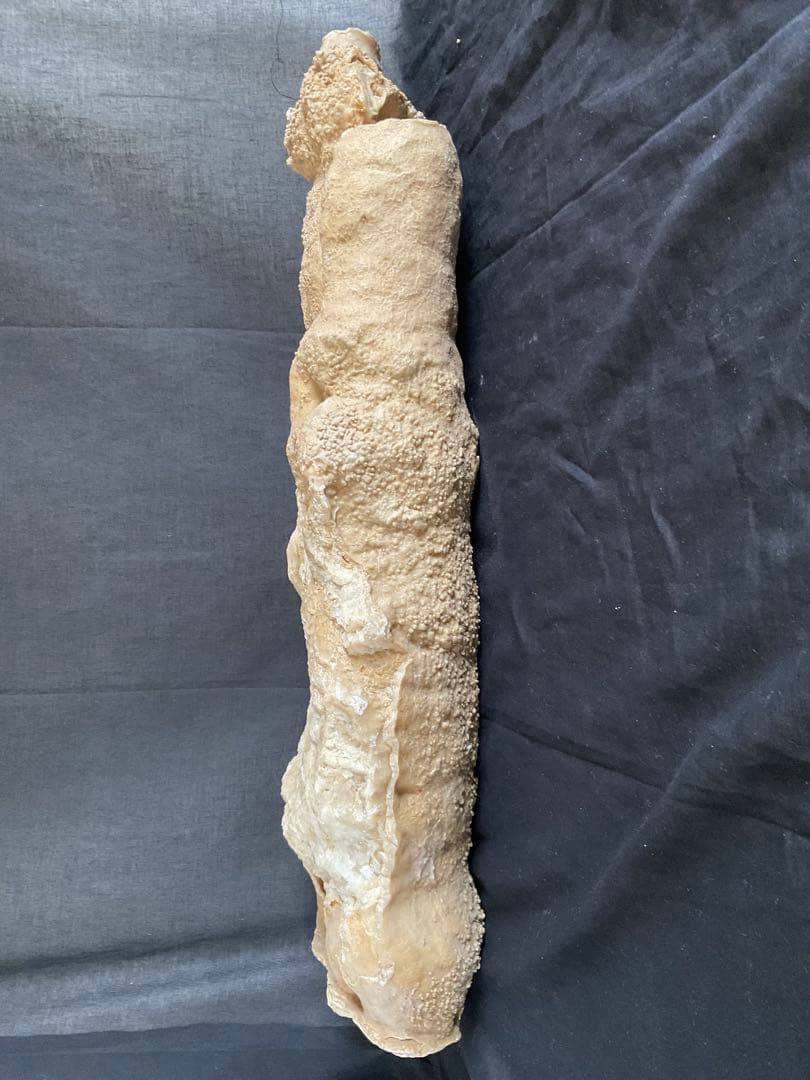 鍾乳石(石柱)６５cm１６.２kg