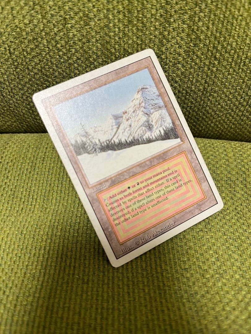 MTG　Taiga　3ED英　1枚