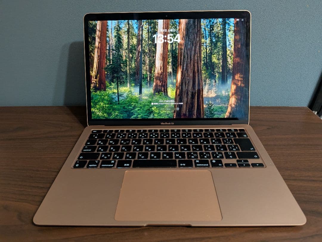 【最終値下げ】MacBookAir M1 ローズゴールド 1TB 13インチ
