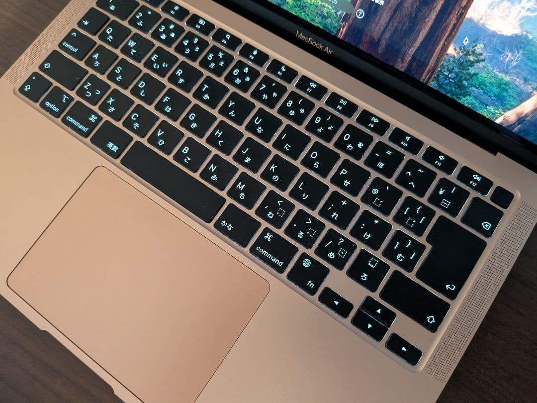 【最終値下げ】MacBookAir M1 ローズゴールド 1TB 13インチ