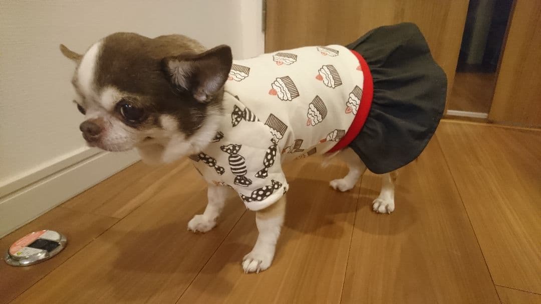 ハンドメイド  犬の服