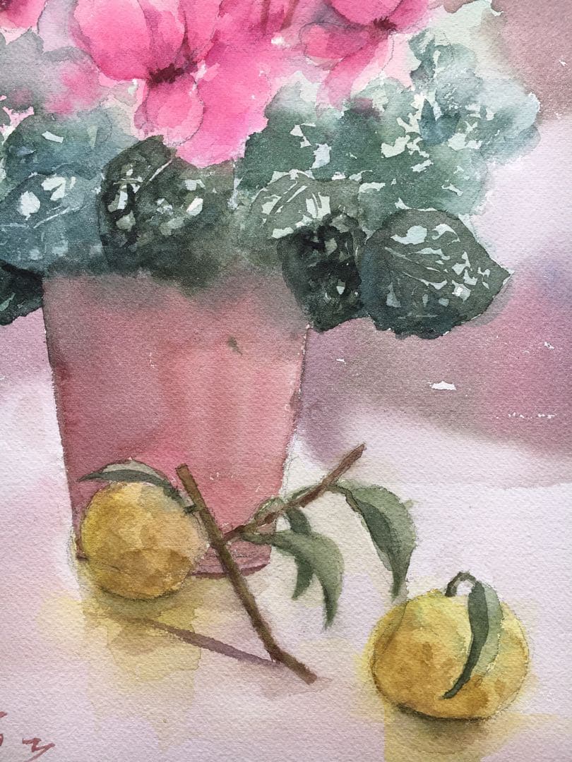 透明水彩画原画ピンクのシクラメン