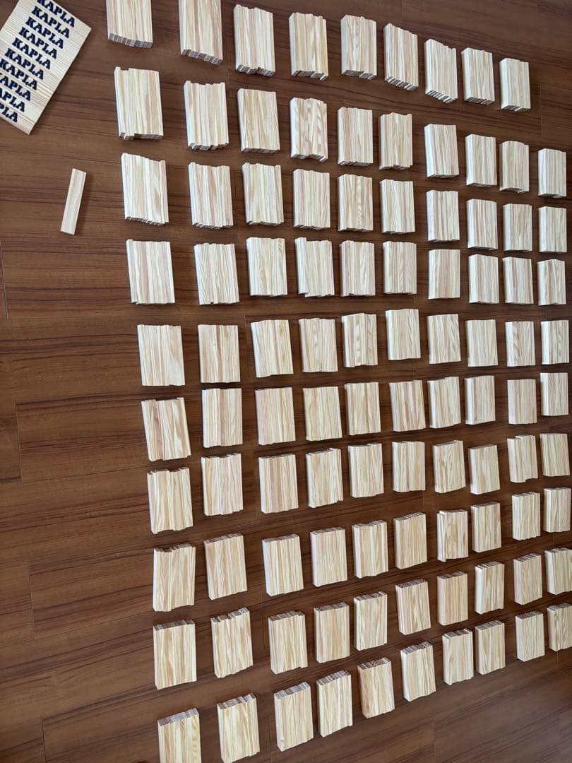 カプラ　1000 ピース