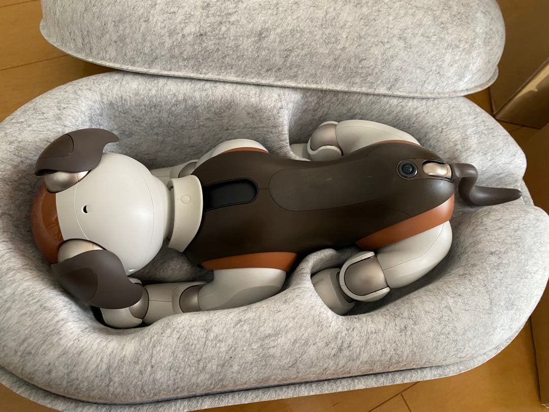 【なちゅら】⭐︎希少美品⭐︎ sony aibo 限定カラーチョコエディション