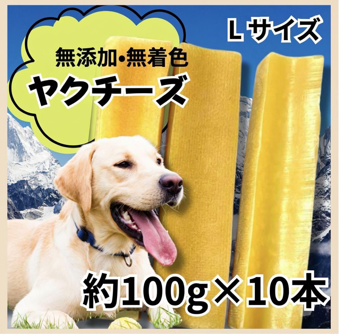 【大型犬】ヒマラヤ産ヤクチーズ Lサイズ  10本セット