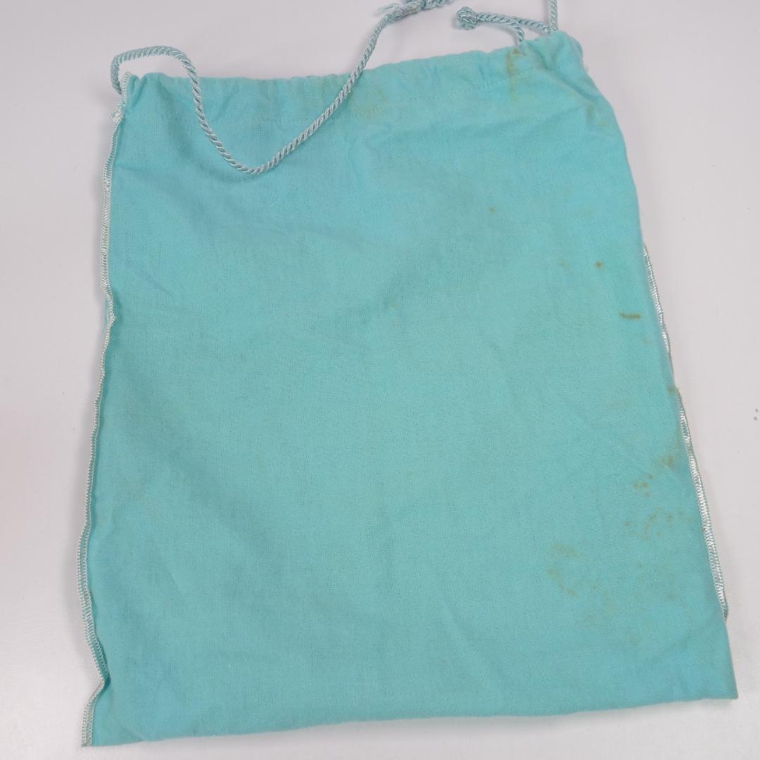 美品✨ティファニー チェーン ショルダーバッグ スエード サークルロゴ