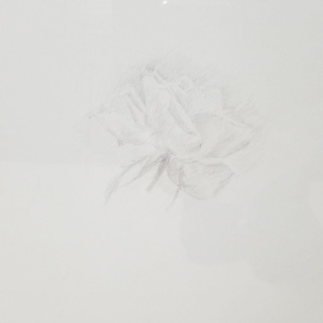 魚谷洋デッサン