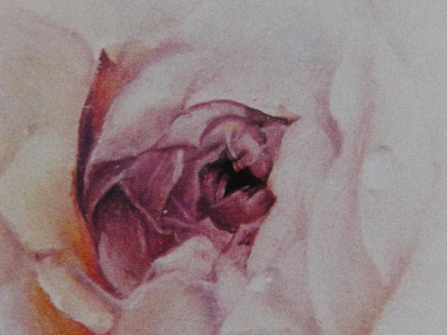 塩崎敬子、薔薇宇宙、希少な画集より、新品高級額、額装付、状態良好