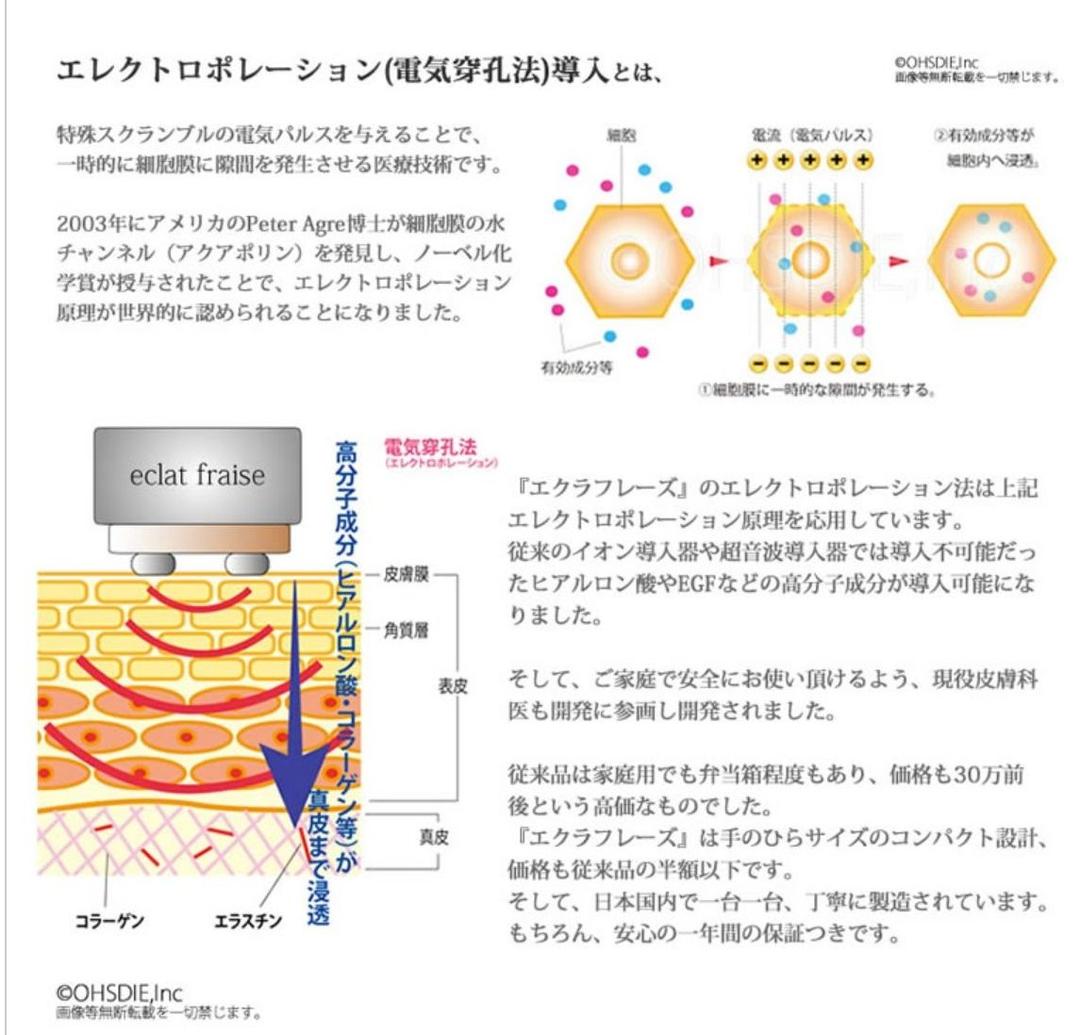 サロン専売品☆ Elemoi エレモア エクラ フレーズ (美顔器)