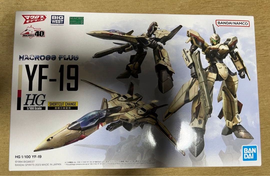 マクロスプラス YF-19 YF-21 ガンプラではないHG 2種 デカール付き