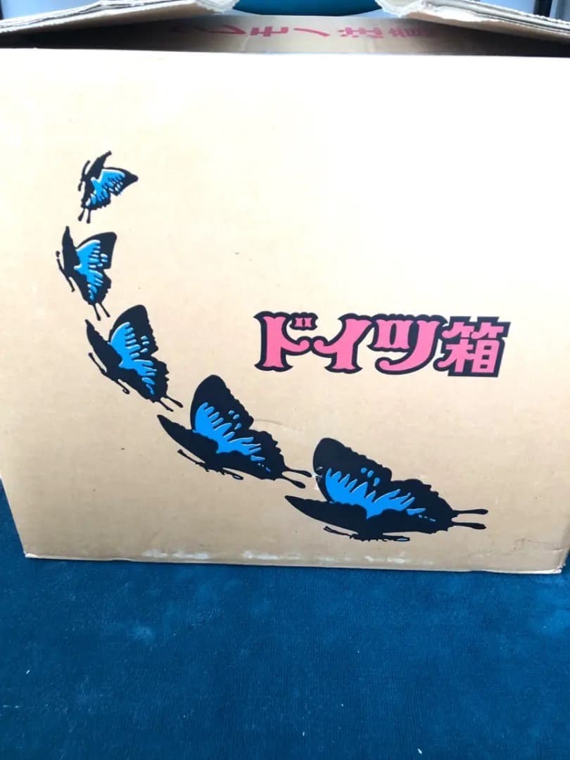 【大型 ドイツ箱・昭和41年印・当時物】蝶 大型 標本 レア 貴重
