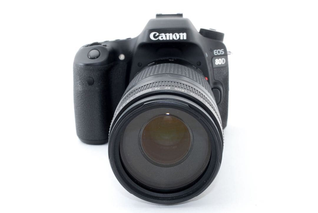 Canon EOS 80D標準&望遠ダブルレンズセット