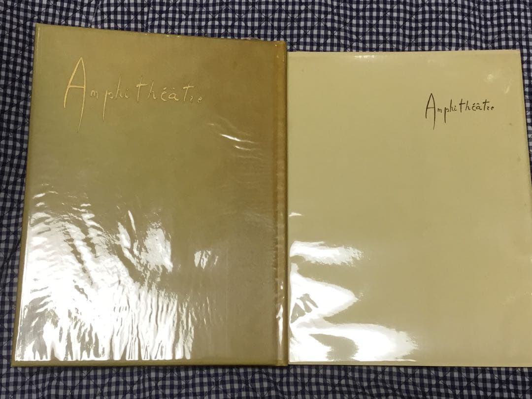 ⭕️レオノール・フィニー　銅版画2葉　サイン　『円形劇場から』辻邦生定価8万5千円