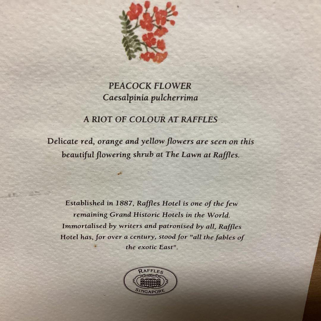 シンガポール　ラッフルズホテル購入作品　【ピーコックフラワー】　額装　 即決品