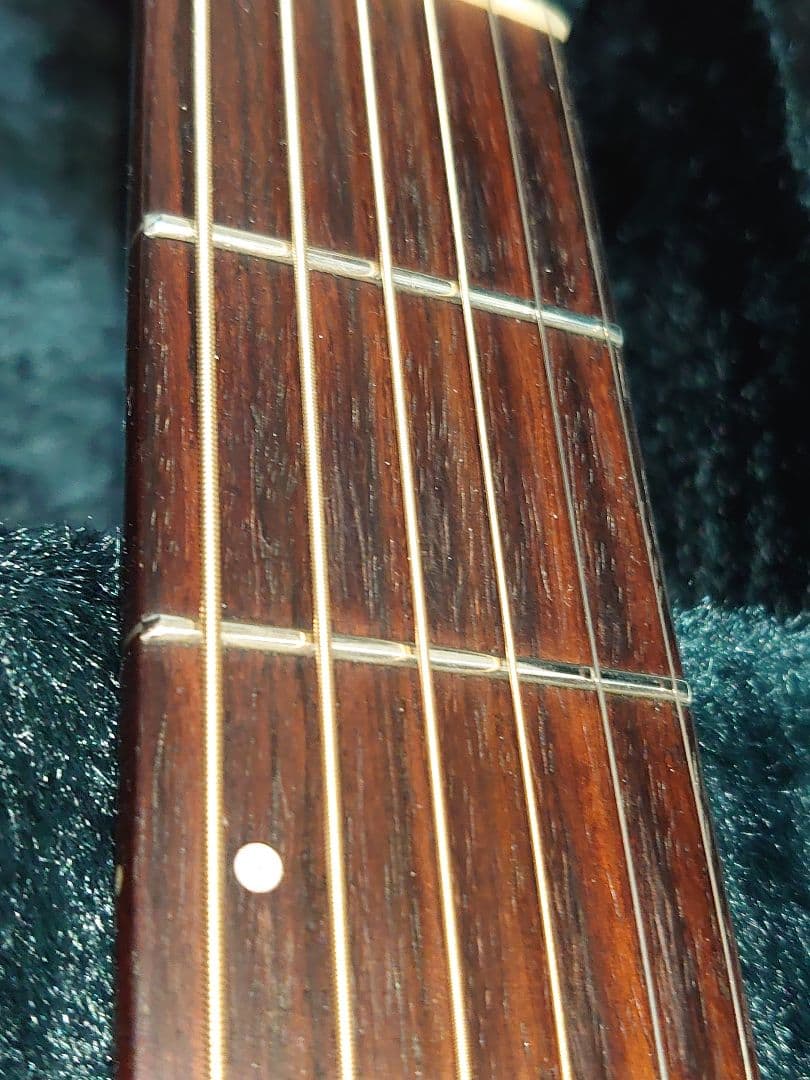 【エレアコ仕様】HISTORY NT-L4 L.R.Baggsピックアップ付