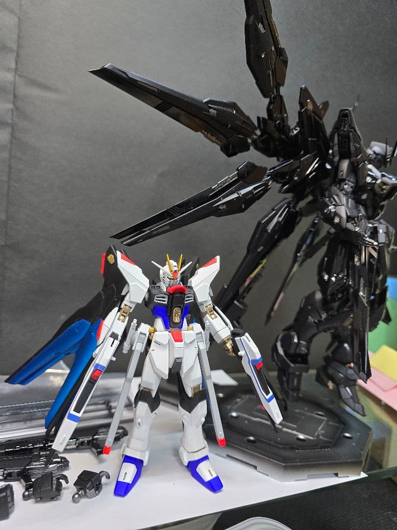 HGCE 1/144 ストライクフリーダム全塗装品　おまけ付き