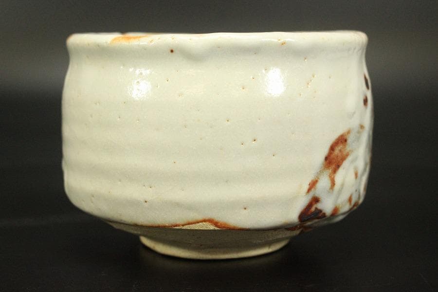 茶道具 志野茶碗 菊 泉窯 在銘 源 共箱(メ1804)