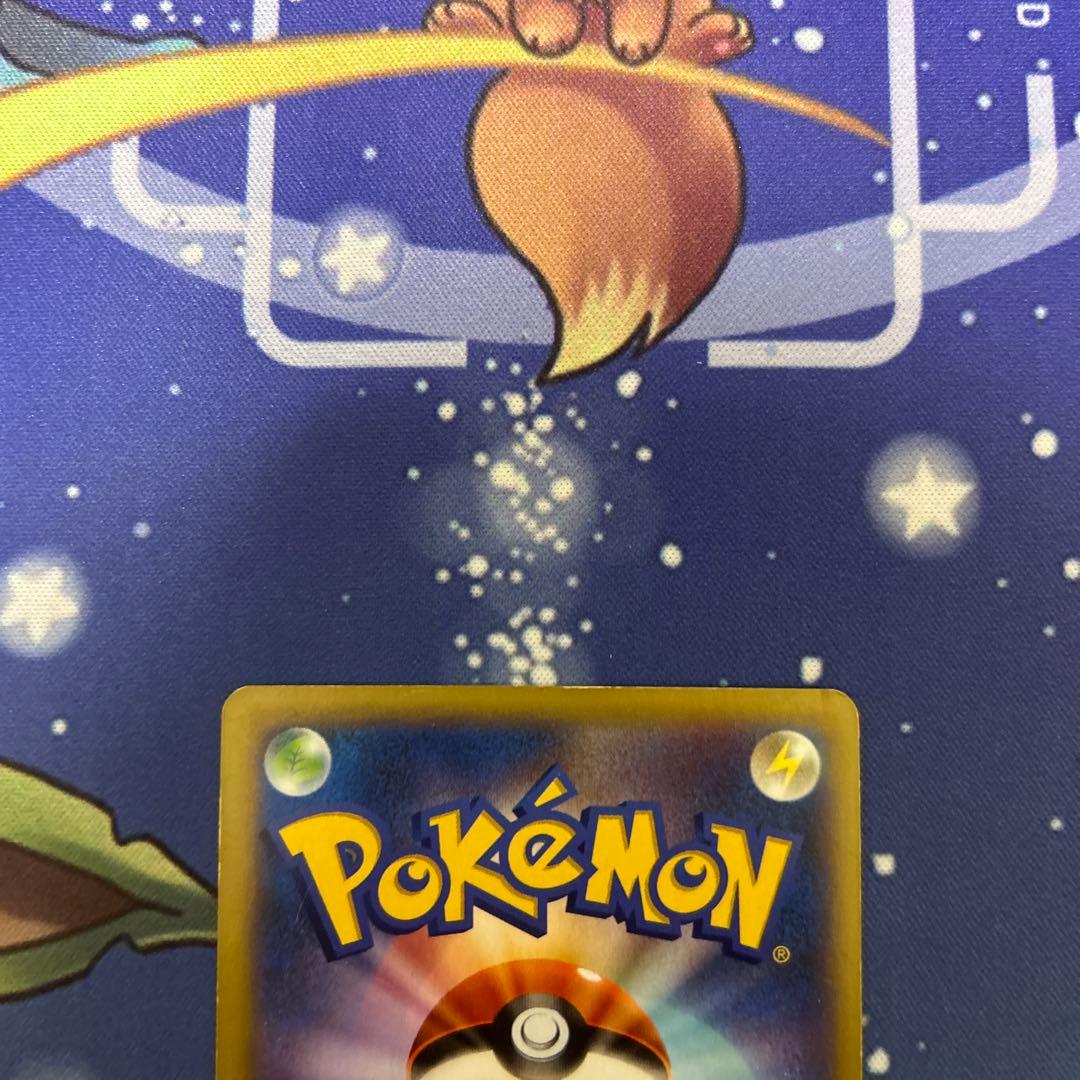 ポケモンカードゲーム　ポケカ　ポケモンだいすきクラブ(SR) ワイルドブレイズ