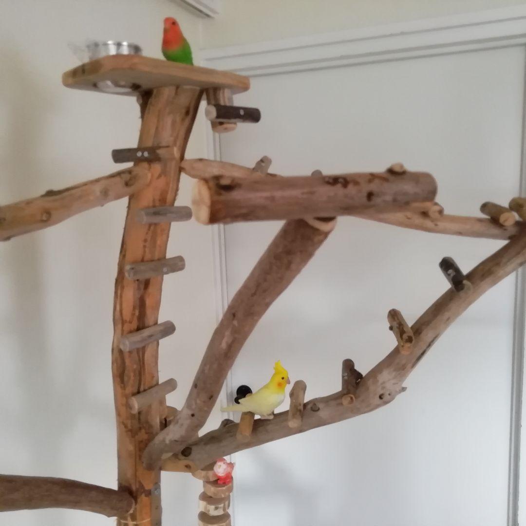瑛 バードアスレチックジム大型 天然木 自然木 流木 止まり木 インコ