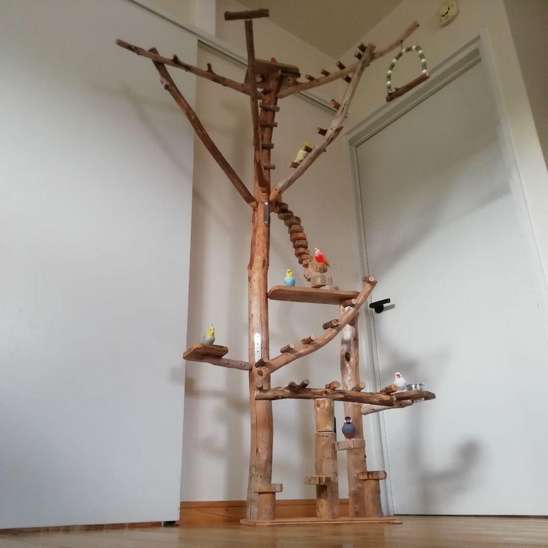 瑛 バードアスレチックジム大型 天然木 自然木 流木 止まり木 インコ