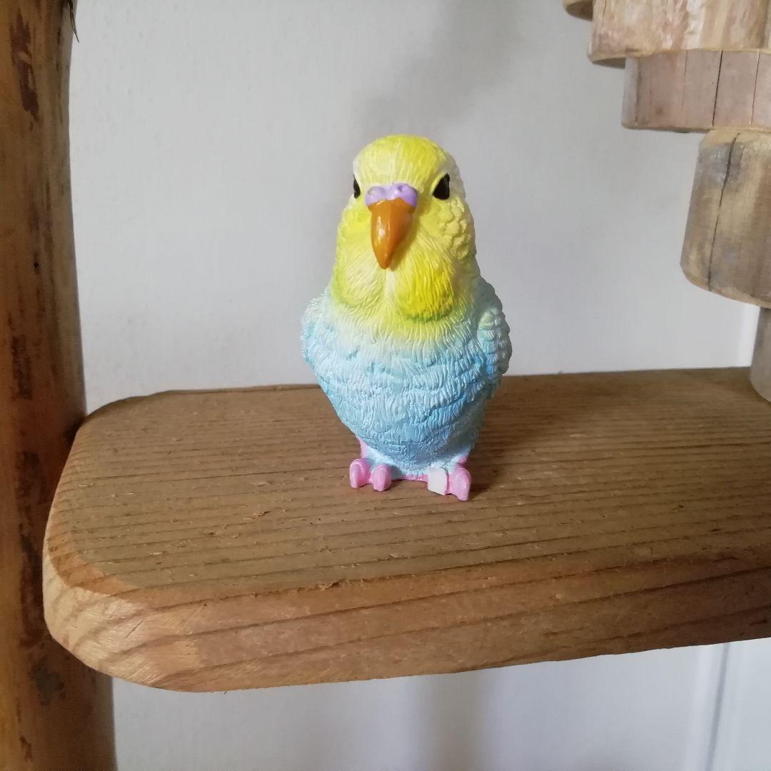 瑛 バードアスレチックジム大型 天然木 自然木 流木 止まり木 インコ