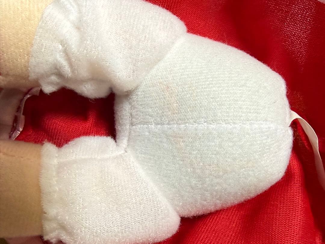 フランドール・スカーレット ぬいぐるみ ふもふもぷらん。 gift 東方シリーズ