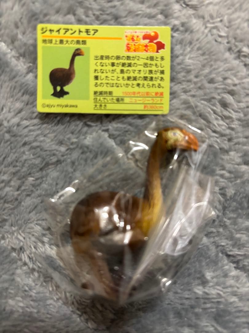 戦え絶滅動物PART3 宮川アジュ　モア　スミロドン　サーベルタイガー　ライオン