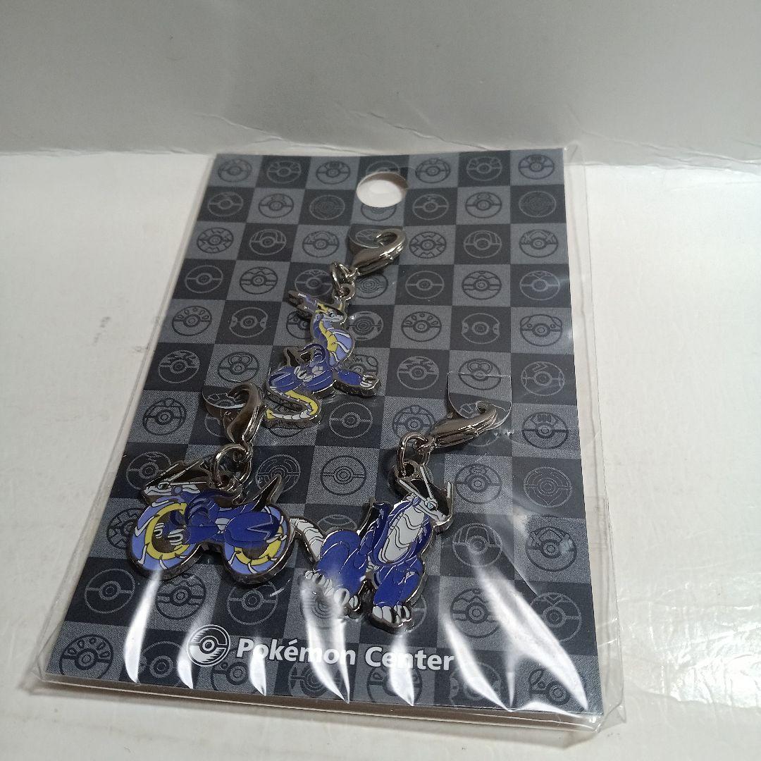 ポケモンメタルチャーム　ミライドン❁