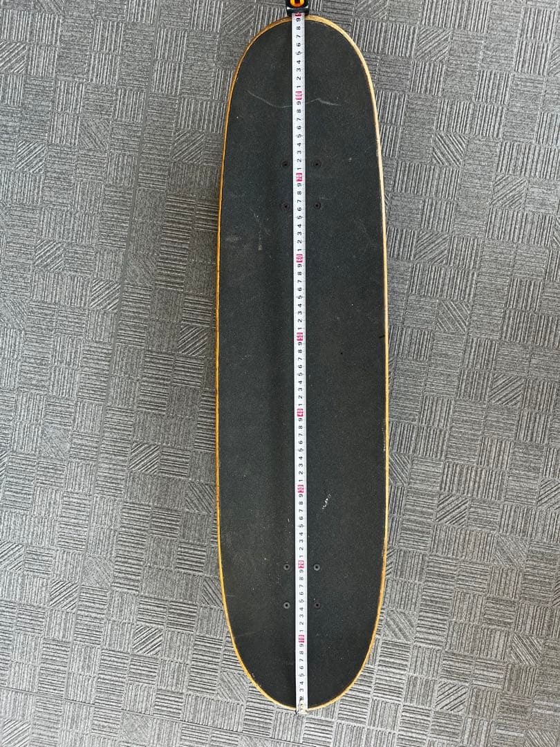 CARVER カーバー スケートボード VENICE