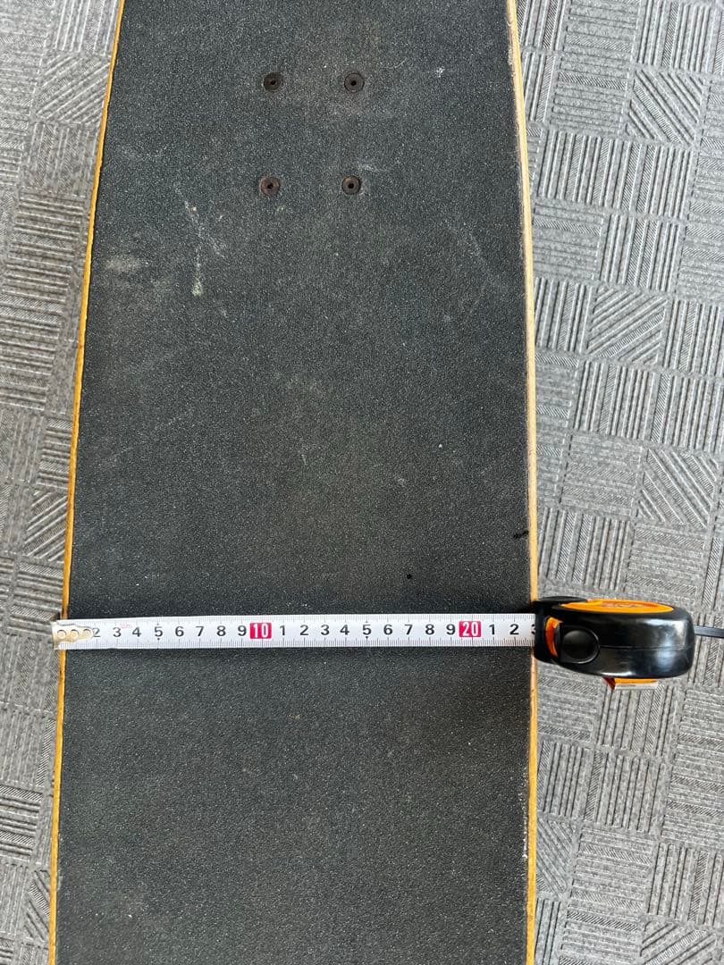 CARVER カーバー スケートボード VENICE