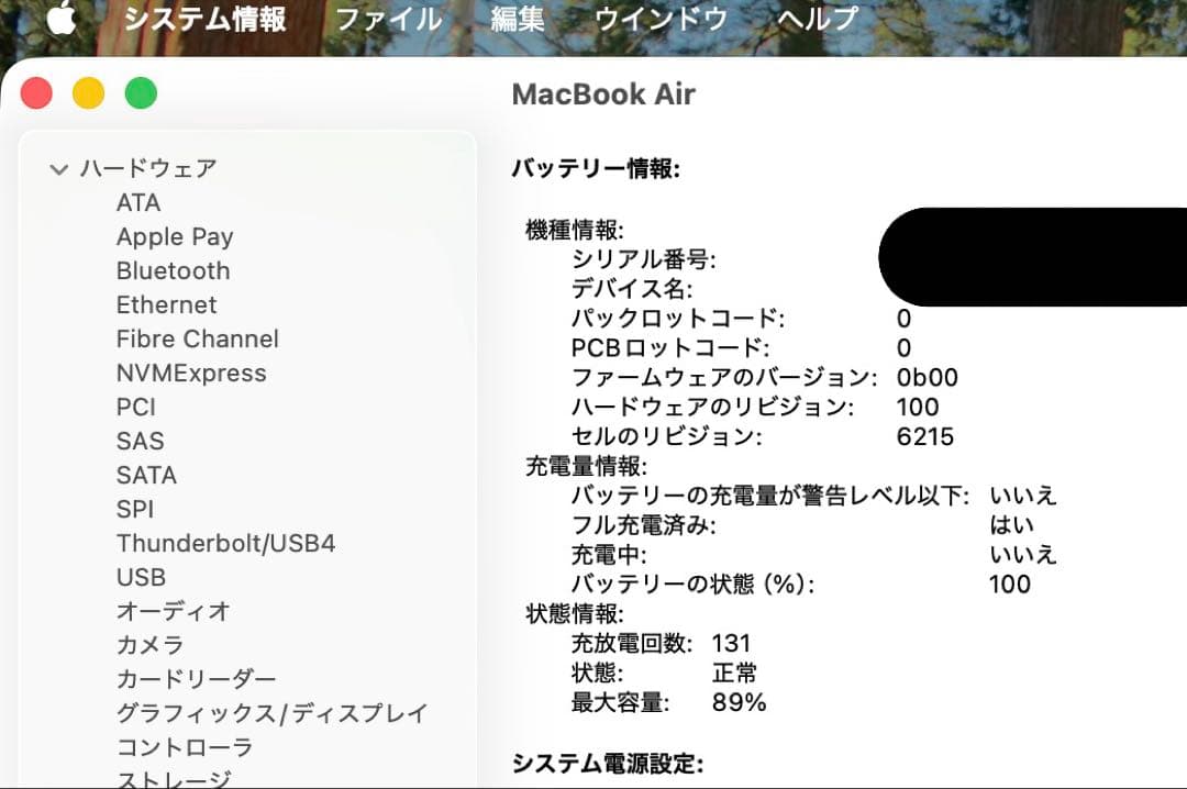 MacBook Air M2 13インチ 1TB US配列 動作良好 本体のみ