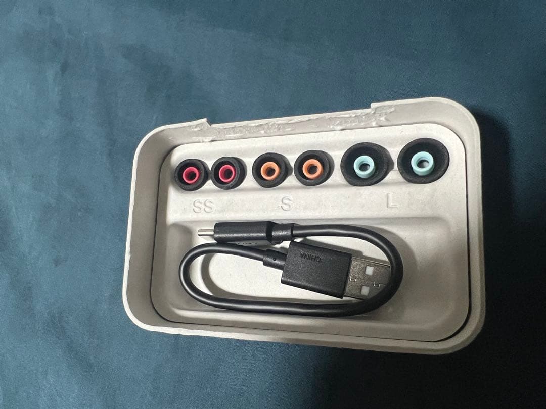 【ほぼ新品並】今年の10月購入。WF-1000XM5 充電ケースと左耳 片方のみ