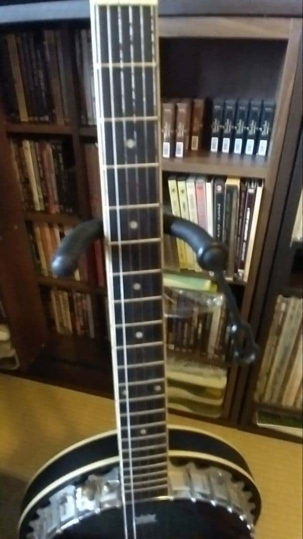 オルテガ6弦バンジョー Raven Seres OBJE 350/6 SBK