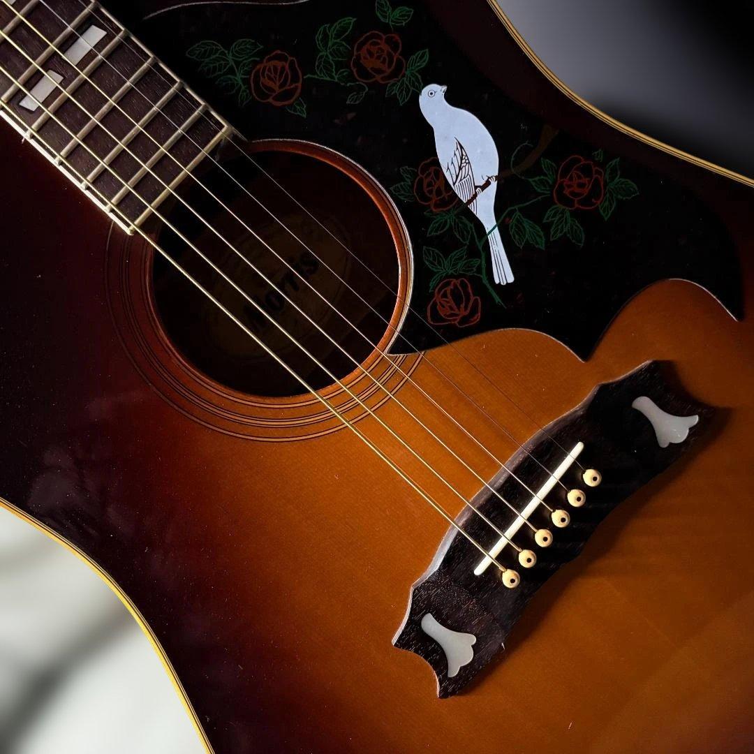 ★本家さながらのジャキ鳴！モーリス・ダヴモデルがこれだ！ WD-25 超美品★