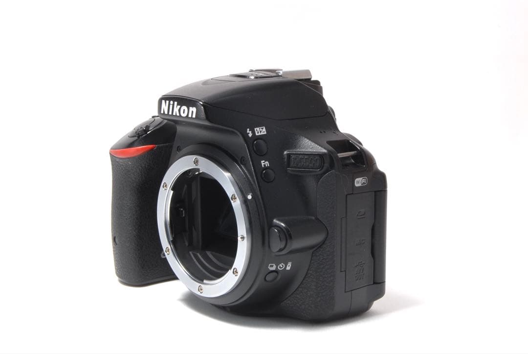 美品✨スマホ転送OK 高画質 Nikon D5500 レンズキット　自撮りOK