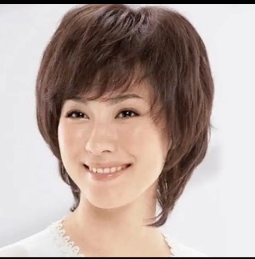 気品人毛100% ショートwig ウィッグA16