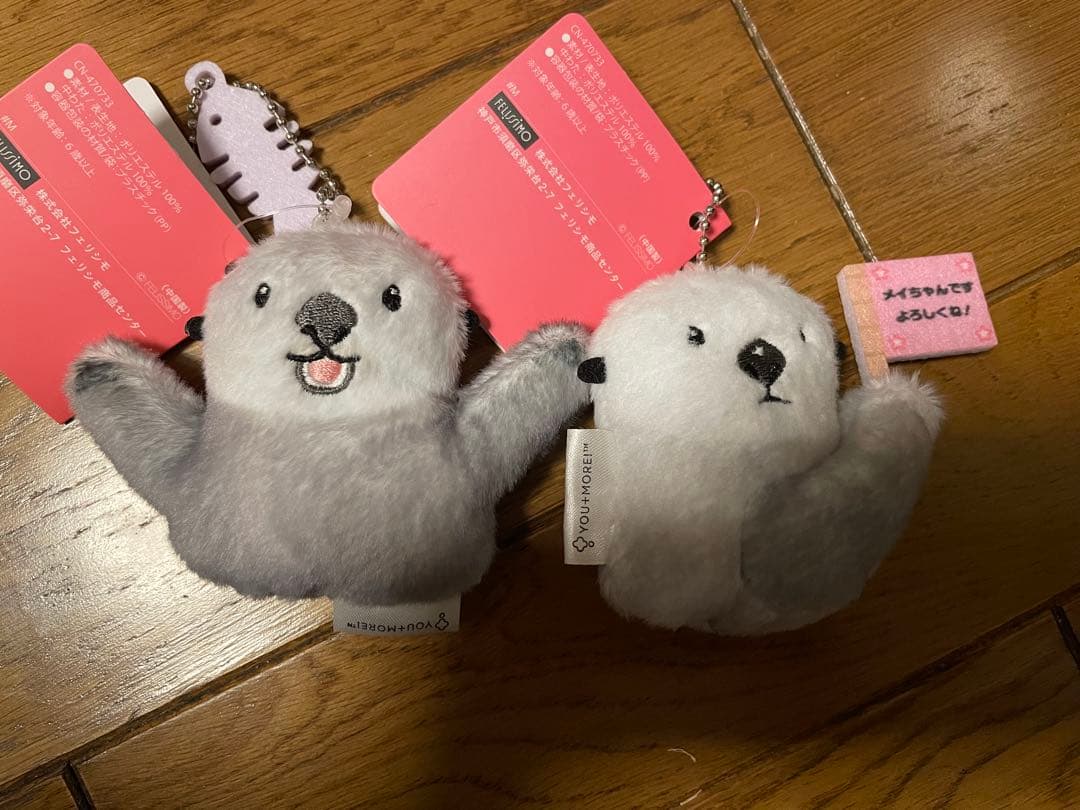 鳥羽水族館 キラ メイ フェリシモ