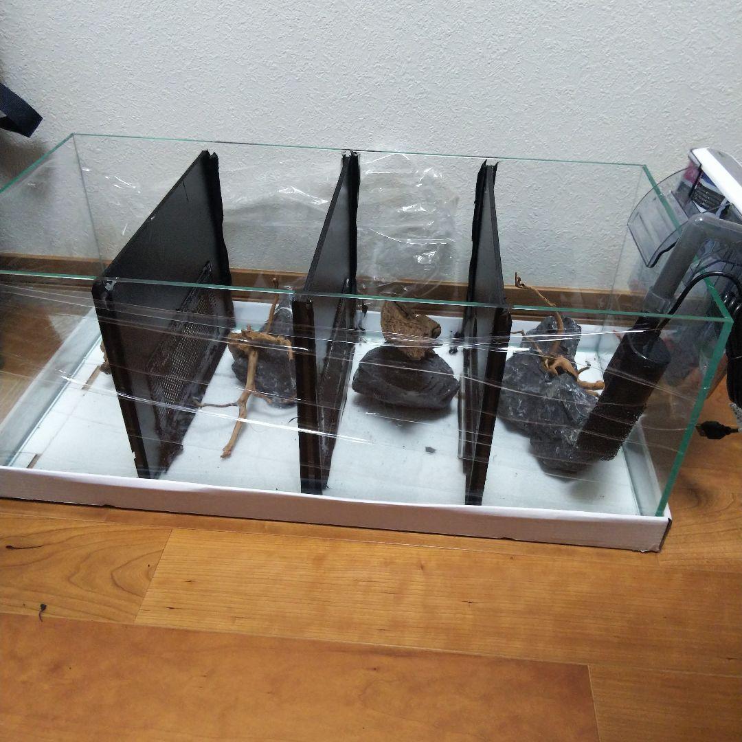 【受注生産】ベタマンション　アクアリウムレイアウト