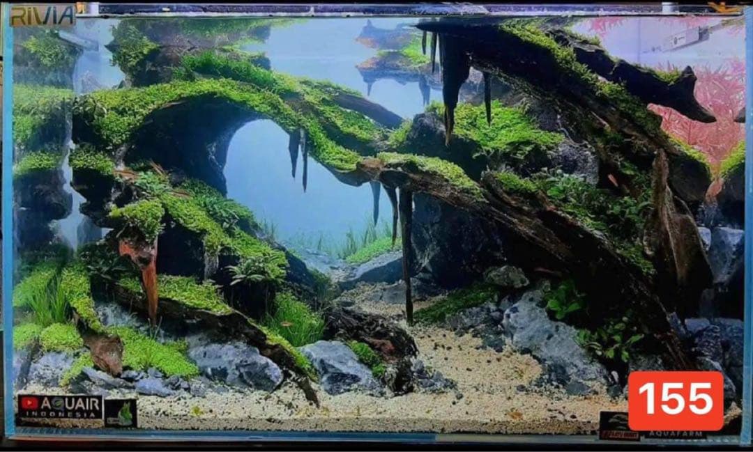 TTD 155 【⭐︎ abc様⭐︎】【美品・数量限定】