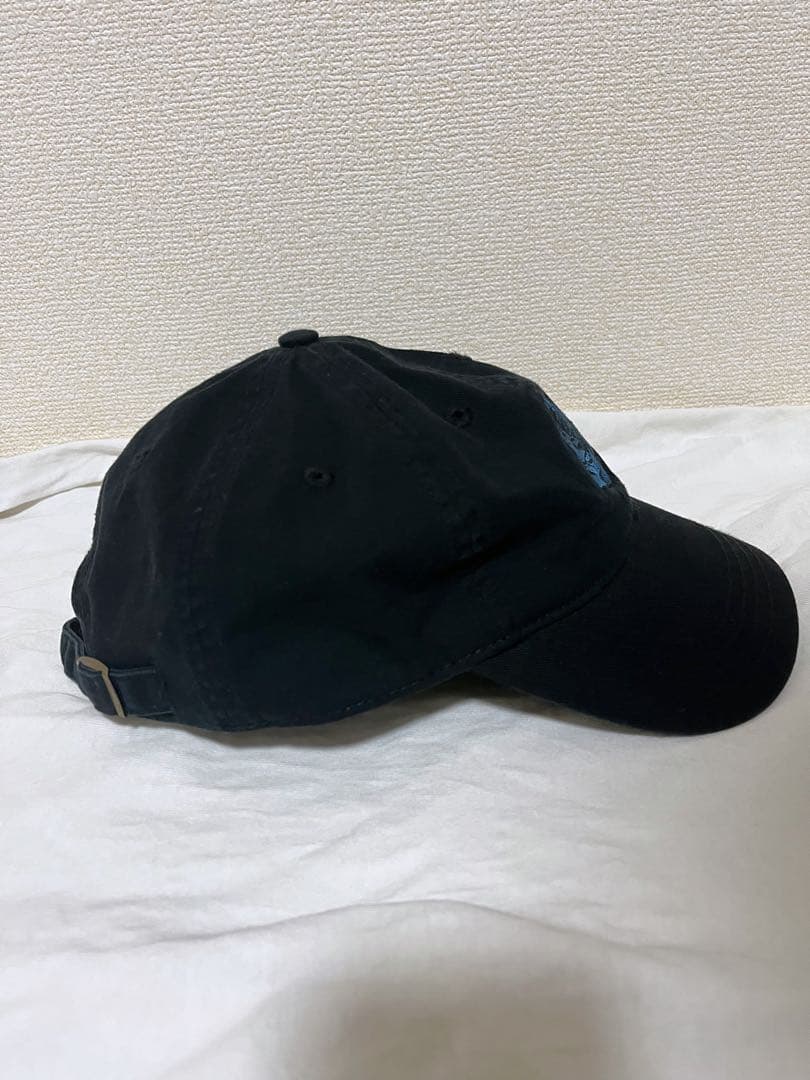 【希少】Ado Blue Rose World Tour Wish キャップ