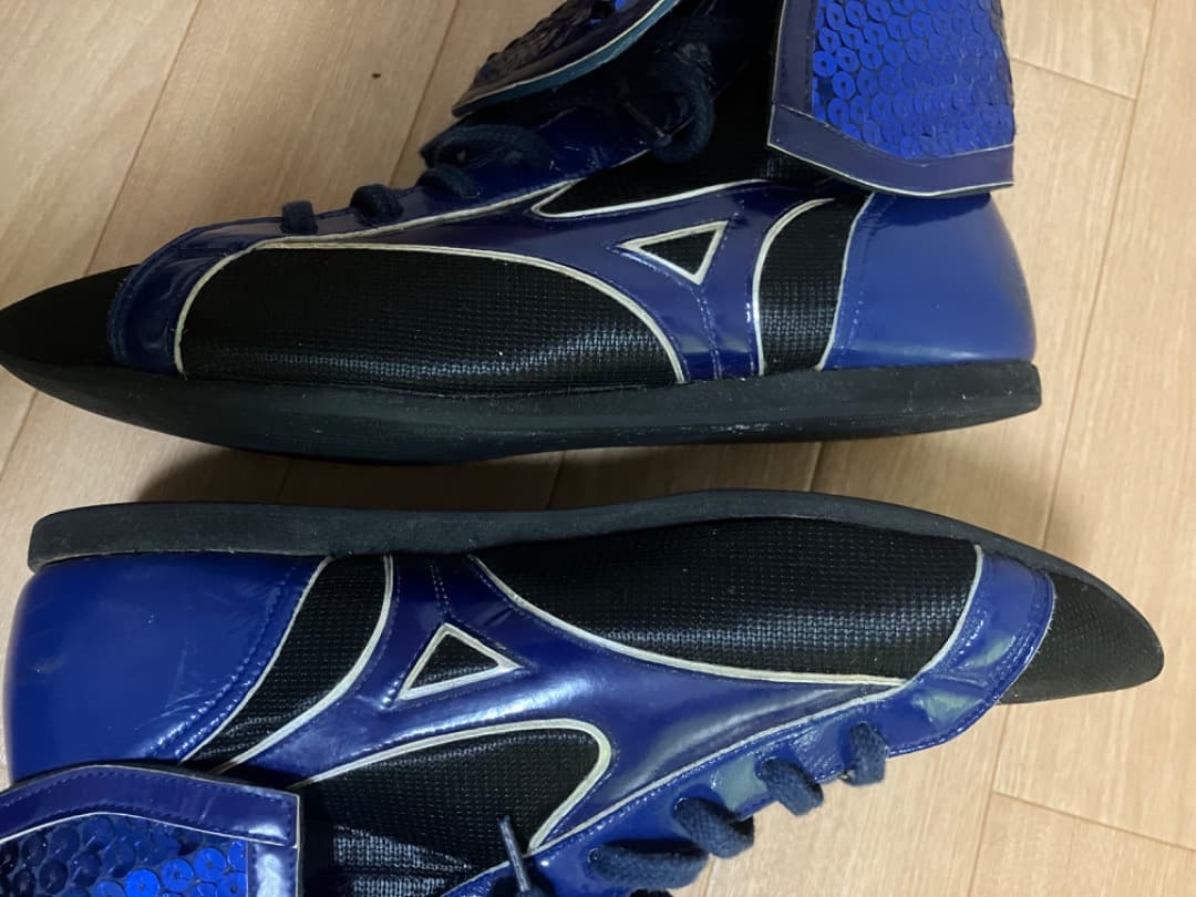 ミズノ、ボクシングシューズ、26.5センチ、ブルー