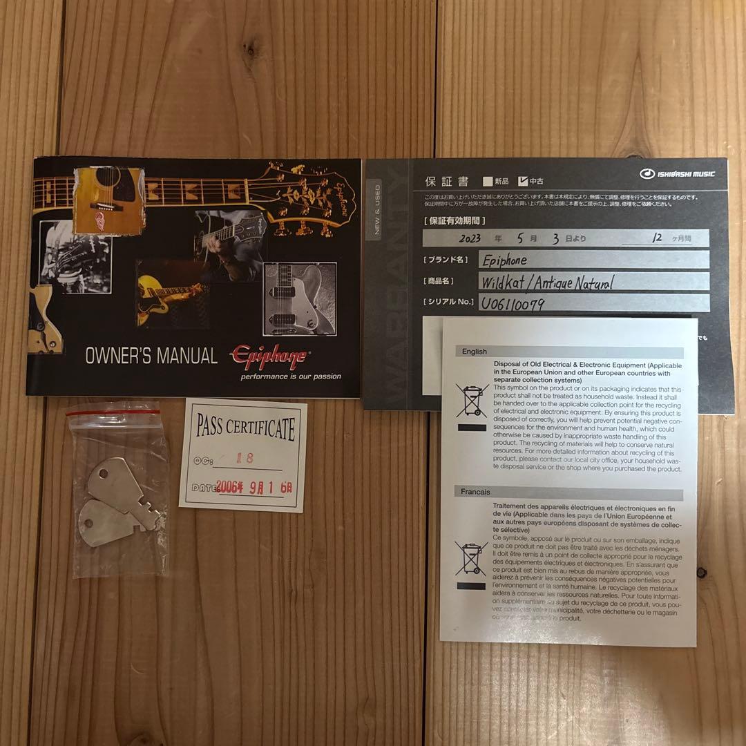 【最終】　epiphone WILDKAT ワイルドキャット