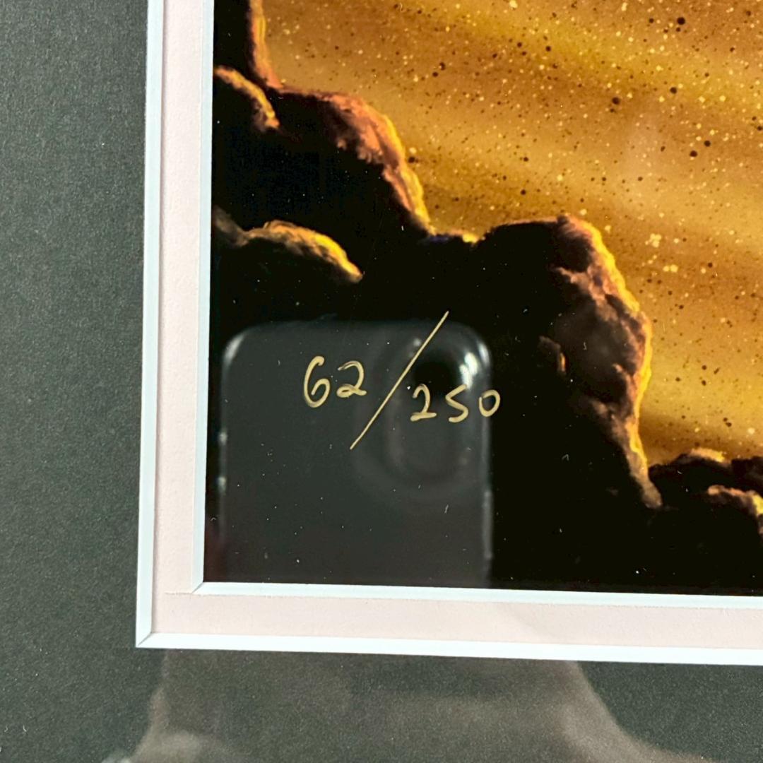 美品 ジョン・アルホーグ「サンライズイン～」ミクスドメディア ダイヤ・サイン入