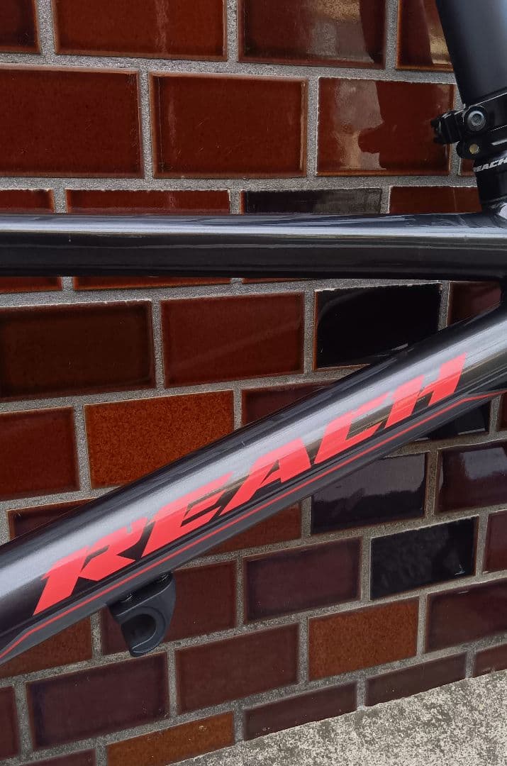 28日迄期間限定価格 REACH フレームセット