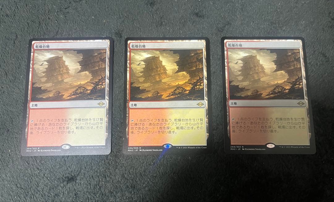 MTG 乾燥台地　3枚セット