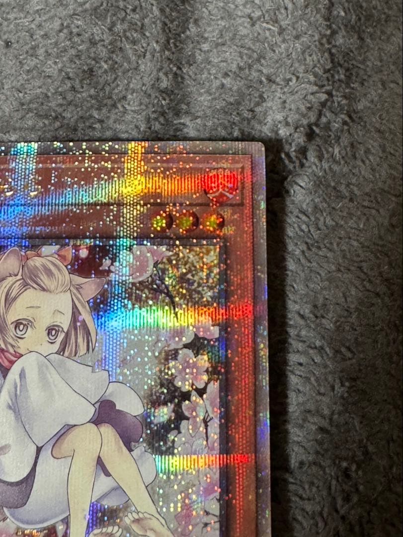 【美品】遊戯王 灰流うらら 25th クオシク イラスト 絵違い