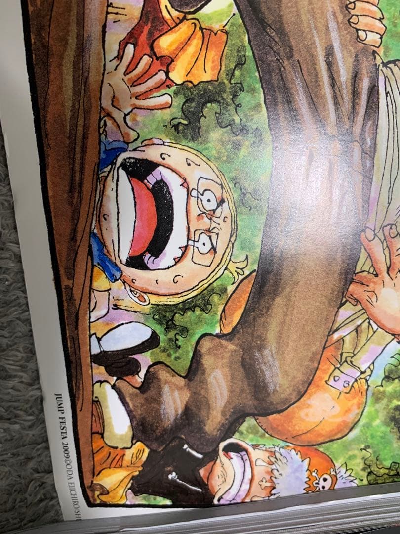 ワンピース　ポスター　複製原画